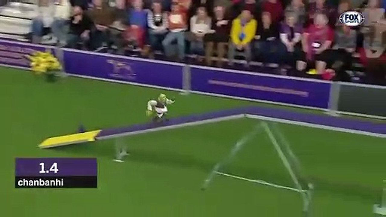 Shrek fait une course d'agility