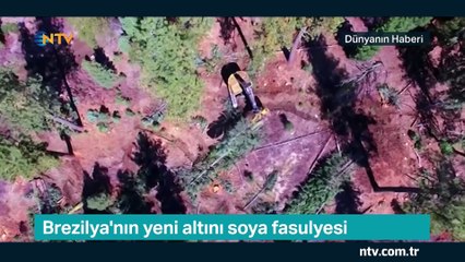 Dünyanın Haberi 10 Mayıs 2019