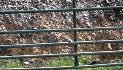 Massive sinkhole opens up on popular Dorset coastal trail