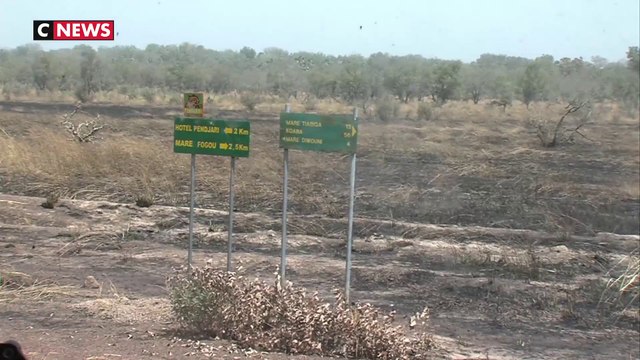 Les deux Français enlevés au Bénin libérés, deux militaires tués lors de l'opération