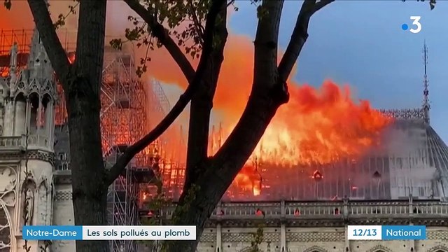 Notre-Dame de Paris : les sols pollués au plomb