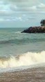 Arraia gigante aparece em praia de Marataízes