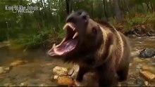 Animal fights Jaguar attacks crocodiles capybaras Animal attacks