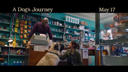 Henry Lau Talks About His Hollywood Debut in 'A Dog's Journey' | Interview + Trailer | AsianCrush