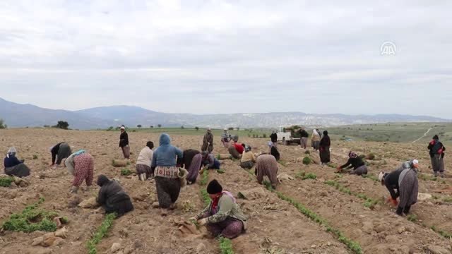 Burdur Gölü'nü Korumak İçin Su Tasarrufu Sağlayan Ürünler Yetiştiriyorlar