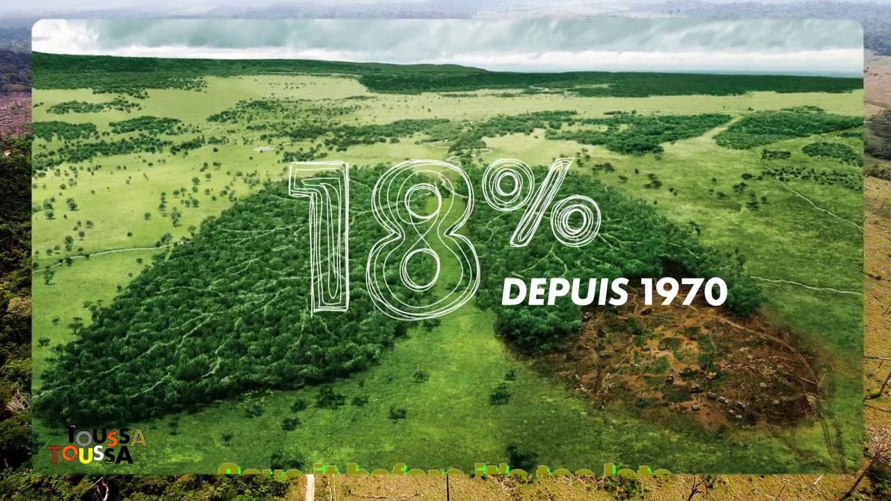 La déforestation  gagne du terrain: keskispasse...