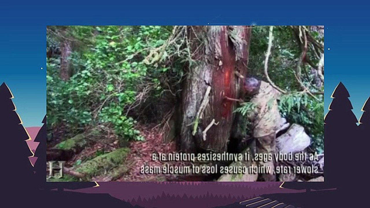 Alone.S02E13.The End Game