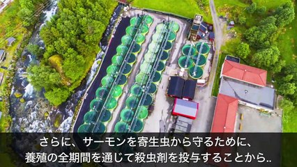 【衝撃】タバコよりも体に悪い食べ物５選