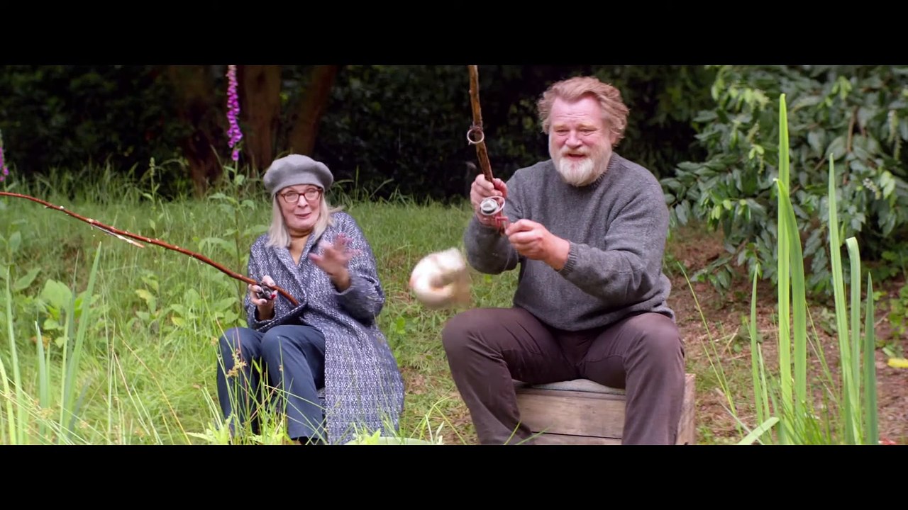 Hampstead Movie - Diane Keaton, Brendan Gleeson