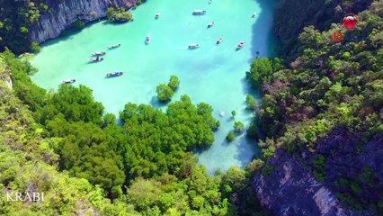 Krabi Tour Package - D Asia Travels