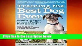 Full version  Training the Best Dog Ever  Review