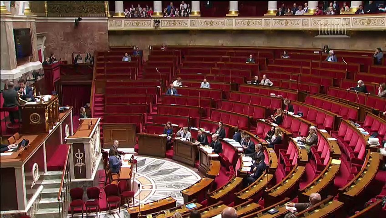 2ème séance : Restauration de la cathédrale Notre-Dame de Paris et institution d'une souscription nationale (suite) - Vendredi 10 mai 2019