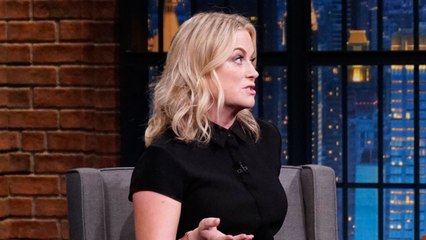 Maya Rudolph Nearly Stuck Her Hand in an Airplane Toilet for Amy Poehler