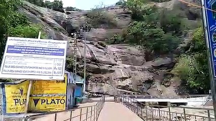 குற்றாலத்தில் கடும் வறட்சி..சுற்றுலா பயணிகள் ஏமாற்றம்-வீடியோ