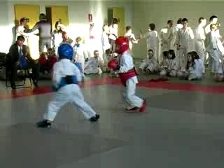 Karaté mauléon (64)