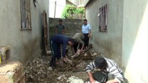 Gaziantep’te koyun kırkım zamanı