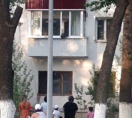 Evin Balkonuna Çıkan Yavru Ayı Herkesi Korkuttu