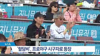 야구장에 ‘할담비’ 떴다…시구와 응원에 관중도 ‘덩실’