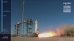 Blue Origin is 'going to the MOON': Jeff Bezos unveils giant concept lunar lander