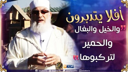 ّأفلا يتدبرون: والخيل والبغال والحمير لتركبوها