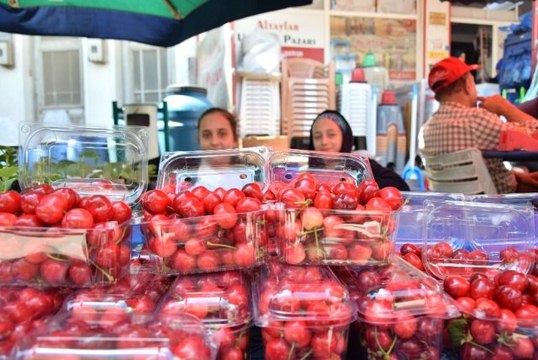 Lapseki Kirazı 20 Liradan Tezgahlarda Yerini Aldı