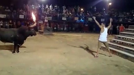 Boğayı tahrik etti, hayatının hatasını yaptı!