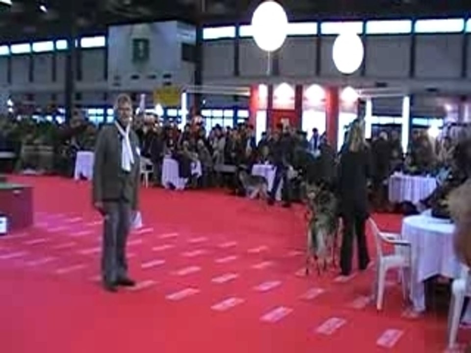 Expo bordeaux  13.01.08