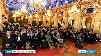 Police : un chien et son maître récompensés