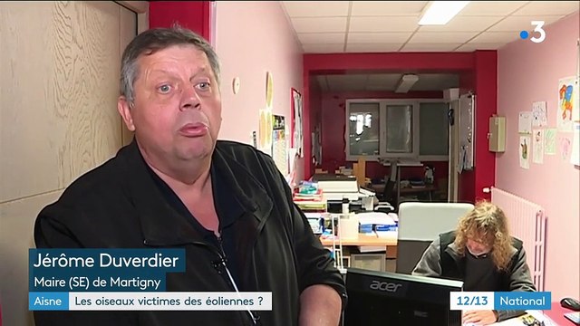 Aisne : les oiseaux victimes des éoliennes ?