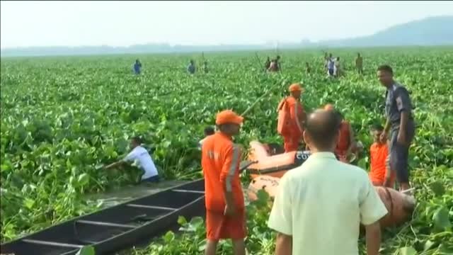 Rescatan a una cría de elefante de un lago en la India