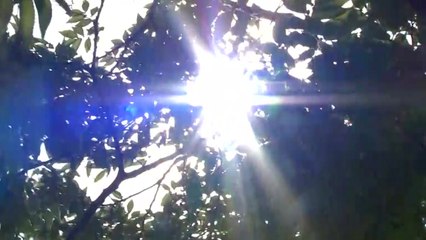 미세먼지 주춤하자...건강 위협하는 '자외선·오존' 비상 / YTN