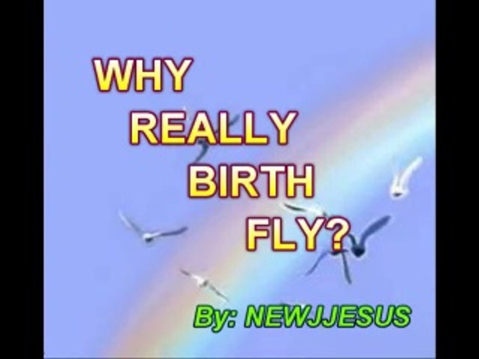 WHY BIRDS FY?