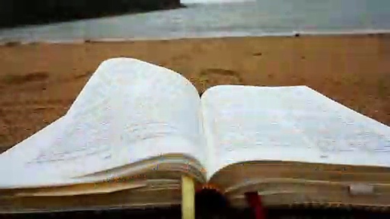 SALMOS 53 (Nova Tradução na linguagem de Hoje)