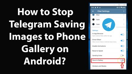 How to Stop Telegram Saving Images to Your Phone Gallery on Android?