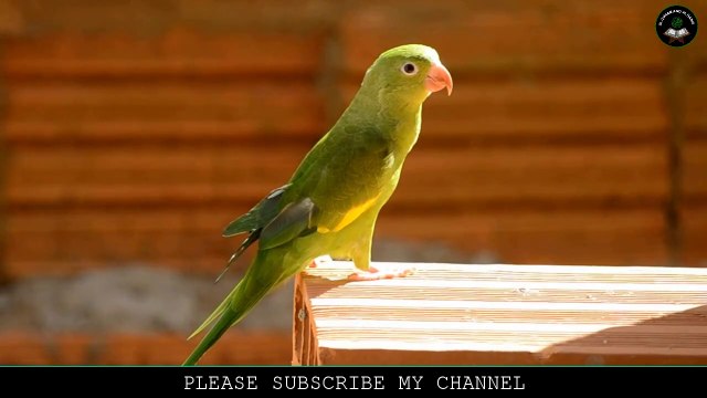 2019 Best Naat in Urdu | la ilaha illallah | لا الہ الا اللہ | لا اله الا الله | New islamic Gojol