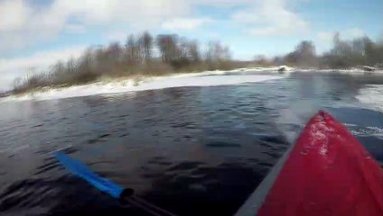 Swan Stuck to Ice Rescued by Men in Kayak