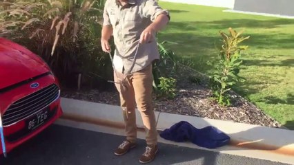 Il découvre un serpent énorme dans sa voiture...