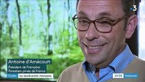 Forêts : la biodiversité menacée