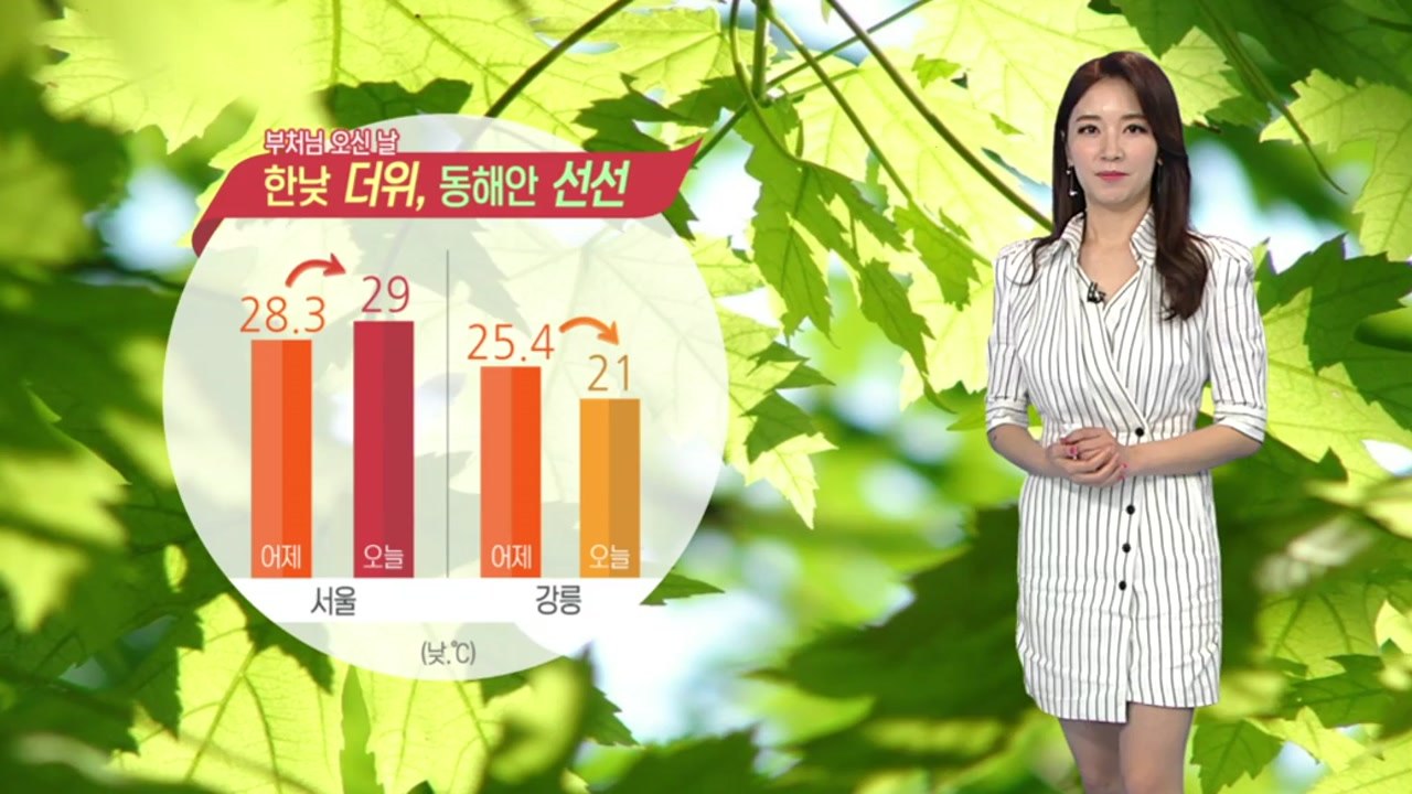 [날씨] 부처님 오신 날, 여름 더위 속 곳곳 소나기 / YTN