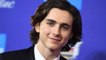 Here's what you need to know about Timothée Chalamet, your brand new awards show crush