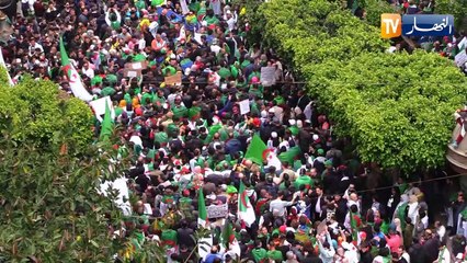 الحراك الشعبي.. السلطة متمسكة بالحل الدستوري و المعارضة في مفترق الطرق