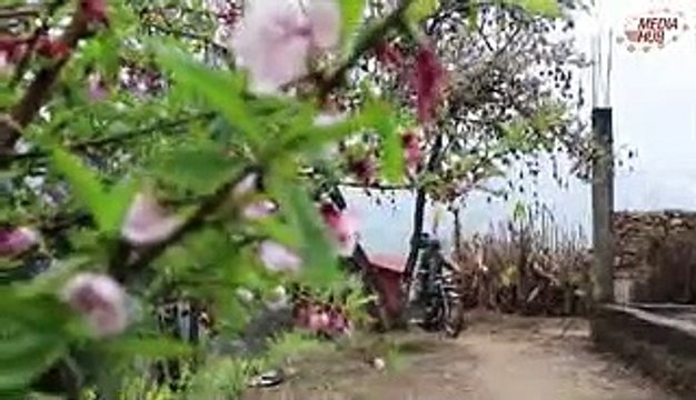 new bhadra gool 2019/5/12- nepali songs kolagi hamro channal vegetgarnuhola thanku