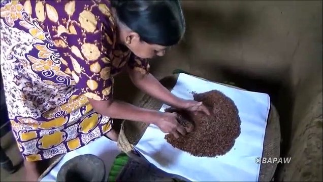 Sain Village Aliments Délicieux kulthi Curry préparé dans mon Village par ma Maman
