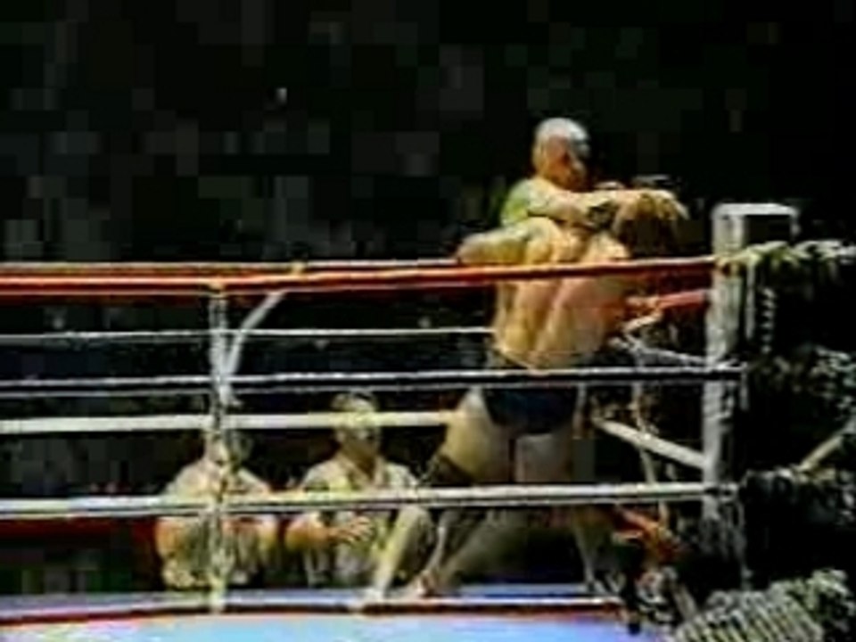 Vanderlei Silva vs Dilson Filho - KO Free Fight UFC