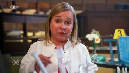 Terra X: Die faszinierende Welt der Forensik – Spuren, die die Wahrheit enthüllen (1/2) 🔍