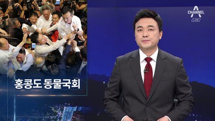 범죄자 인도법안 놓고 의원들 몸싸움…홍콩도 ‘동물국회’