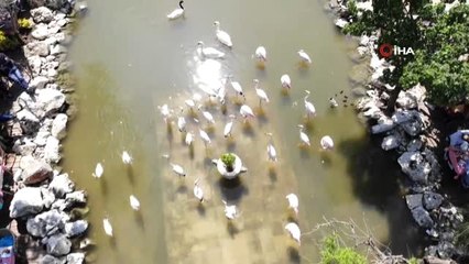 Flamingolu Köy" Anneler Günü'nde Ziyaretçi Akınına Uğradı