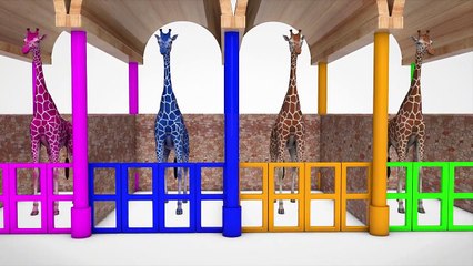 Learn Numbers With Animals Giraffe Cartoon - Learn Colors Balloon For Children _ Video For Kids