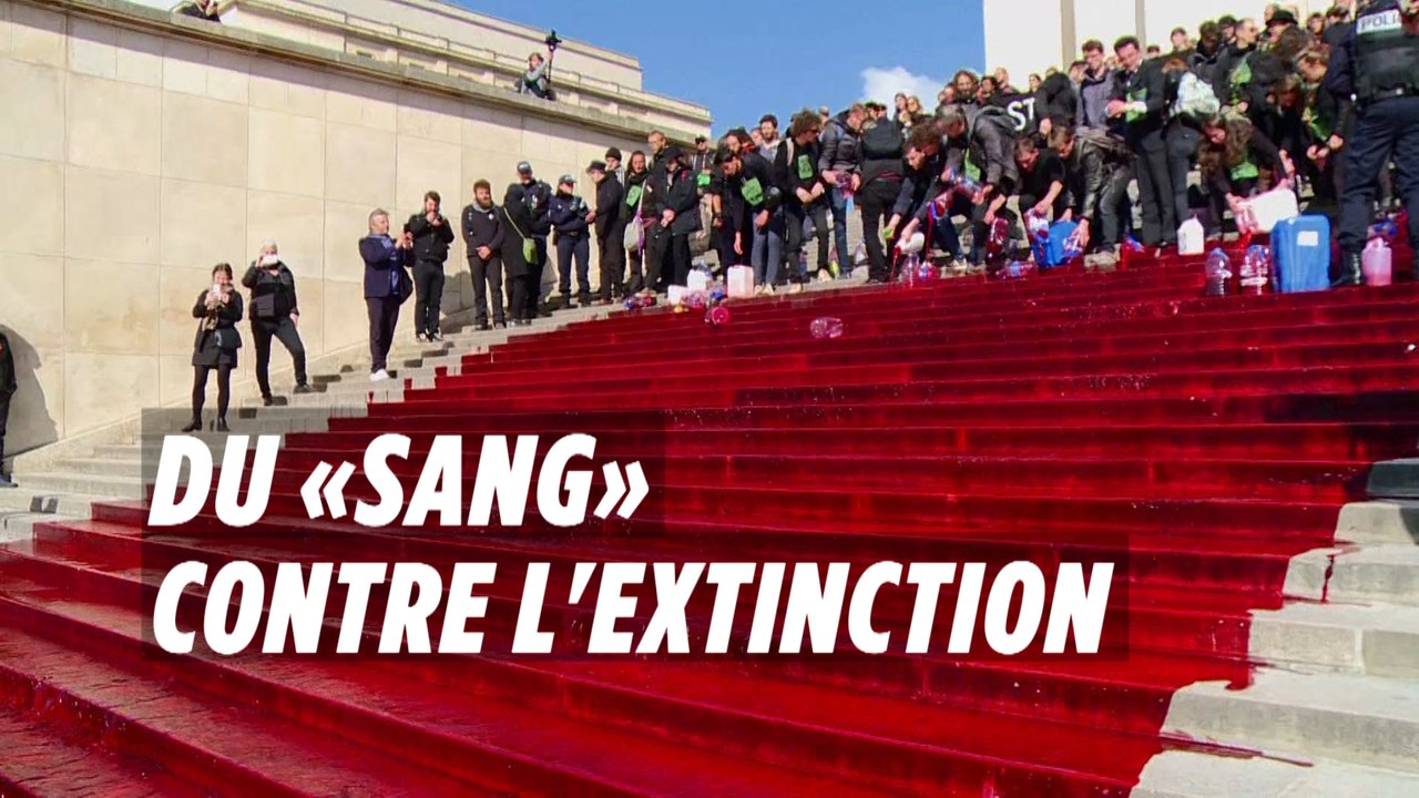 Ils déversent du faux sang sur les marches du Trocadéro