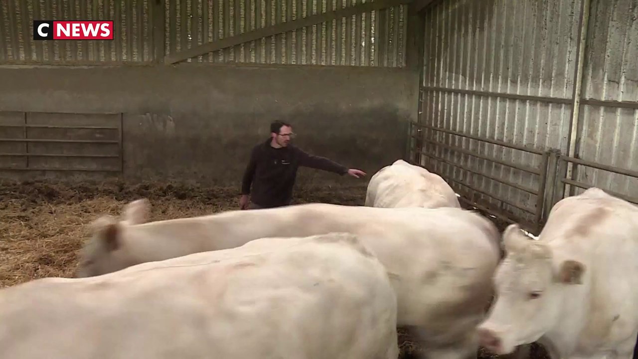 Deux-Sèvres : les éleveurs inquiets du remodelage des aides européennes